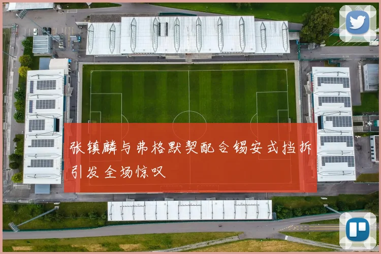 张镇麟与弗格默契配合锡安式挡拆引发全场惊叹