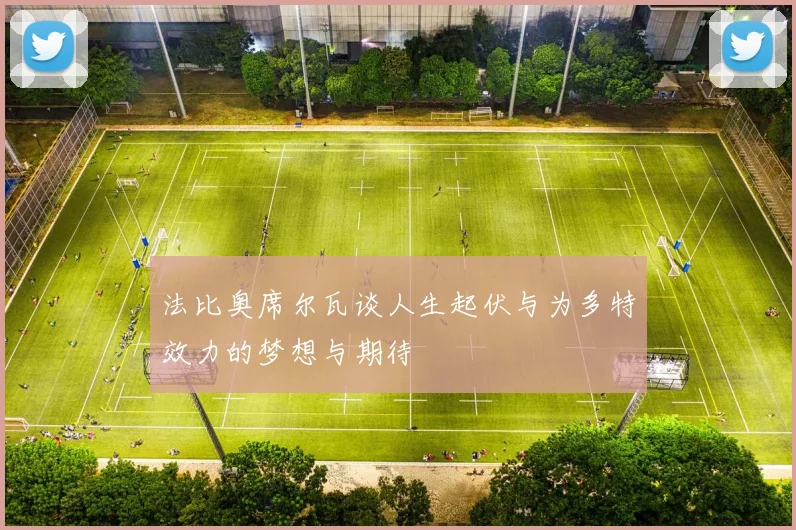 法比奥席尔瓦谈人生起伏与为多特效力的梦想与期待