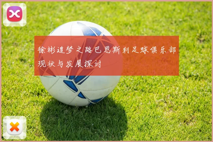 徐彬追梦之路巴恩斯利足球俱乐部现状与发展探讨